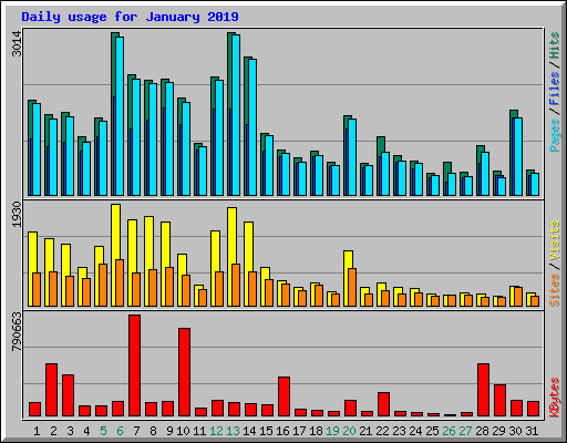 Daily usage for January 2019