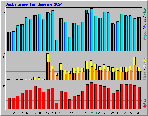 Daily usage for January 2024