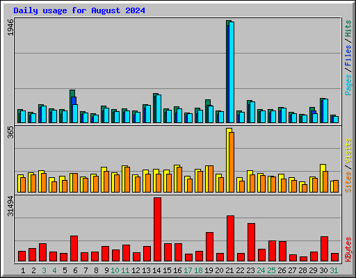 Daily usage for August 2024