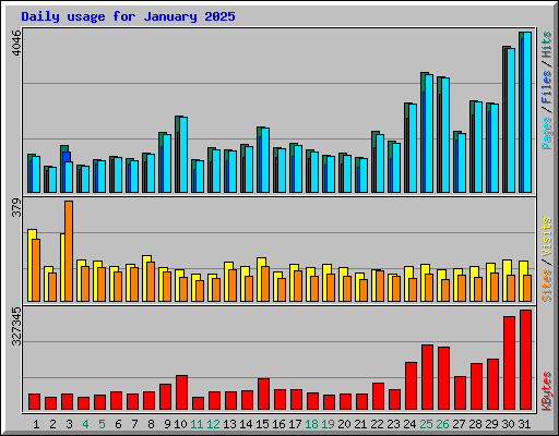 Daily usage for January 2025
