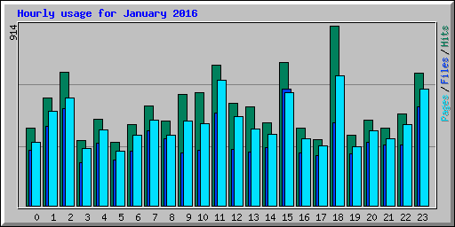 Hourly usage for January 2016