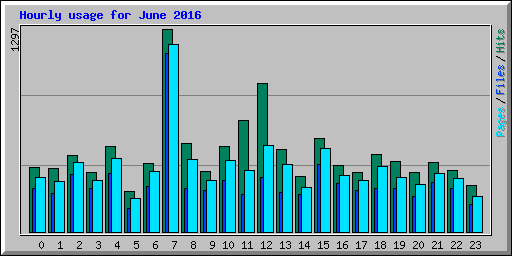 Hourly usage for June 2016