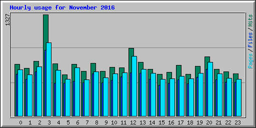 Hourly usage for November 2016