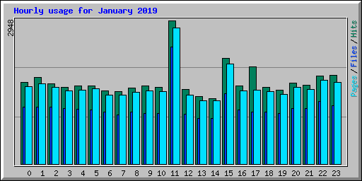 Hourly usage for January 2019