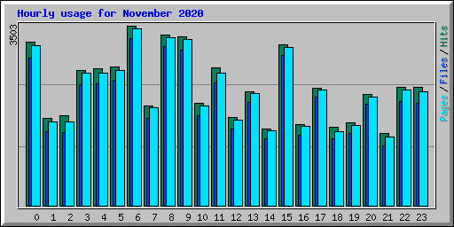 Hourly usage for November 2020
