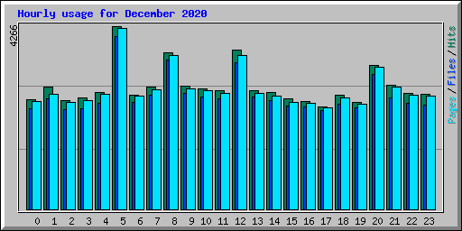 Hourly usage for December 2020