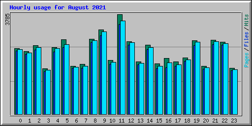 Hourly usage for August 2021