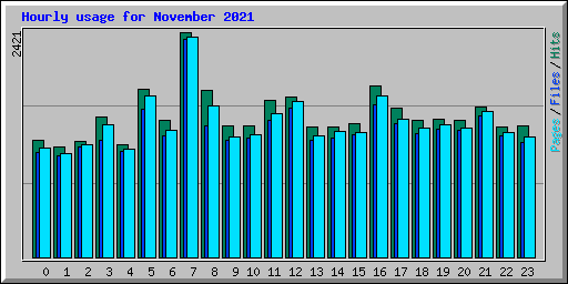 Hourly usage for November 2021