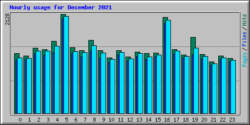 Hourly usage for December 2021