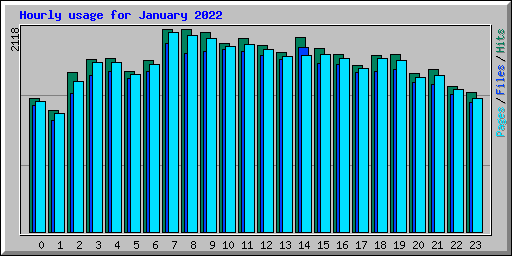 Hourly usage for January 2022