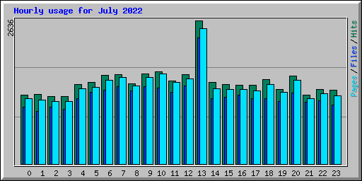 Hourly usage for July 2022