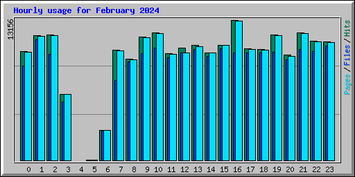 Hourly usage for February 2024