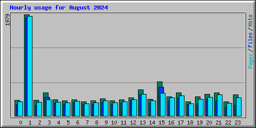 Hourly usage for August 2024