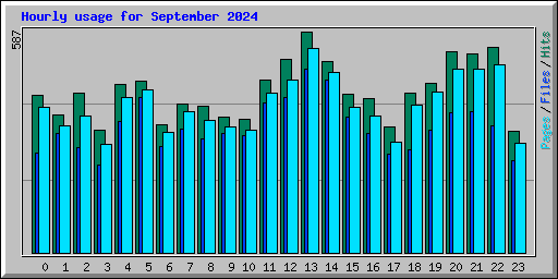 Hourly usage for September 2024
