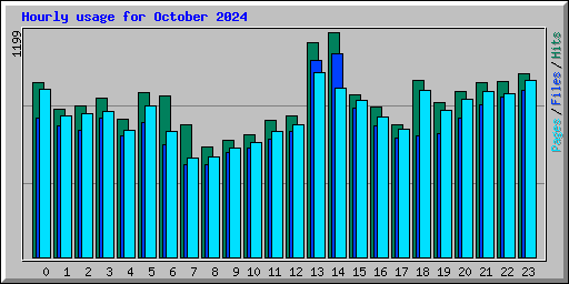 Hourly usage for October 2024