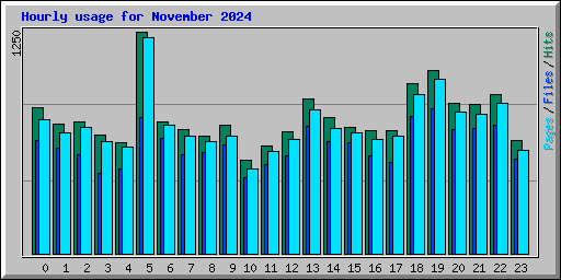 Hourly usage for November 2024