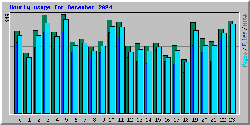 Hourly usage for December 2024