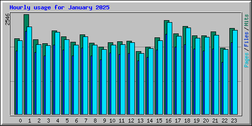 Hourly usage for January 2025