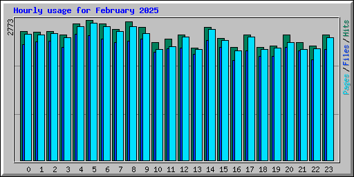 Hourly usage for February 2025