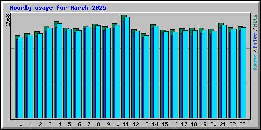 Hourly usage for March 2025