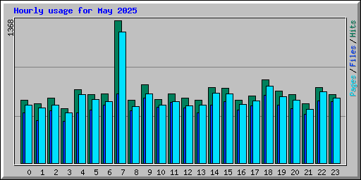 Hourly usage for May 2025