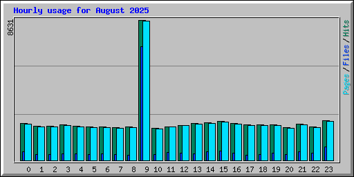 Hourly usage for August 2025