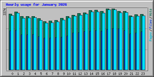 Hourly usage for January 2026