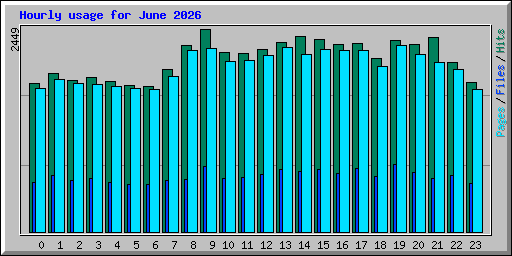 Hourly usage for June 2026