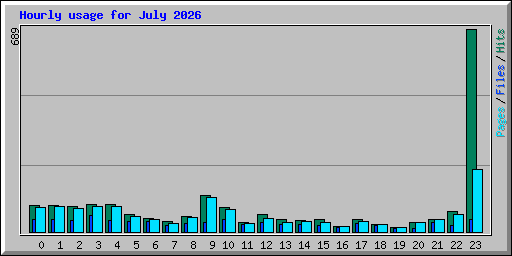Hourly usage for July 2026